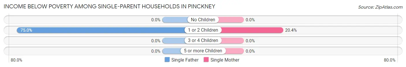 Income Below Poverty Among Single-Parent Households in Pinckney