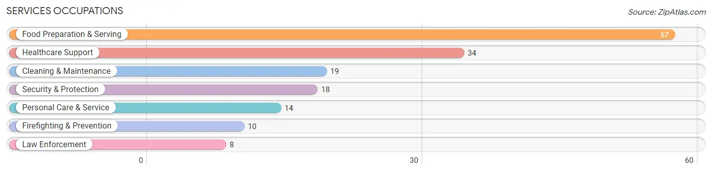 Services Occupations in Pinckney