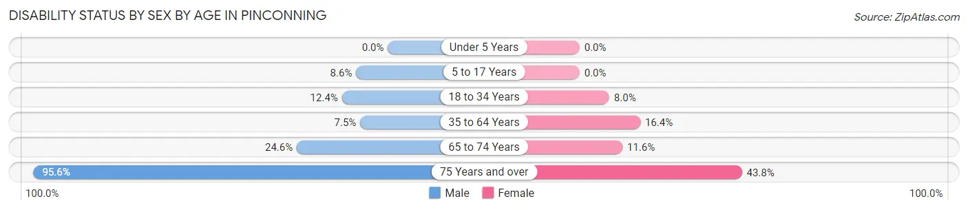 Disability Status by Sex by Age in Pinconning
