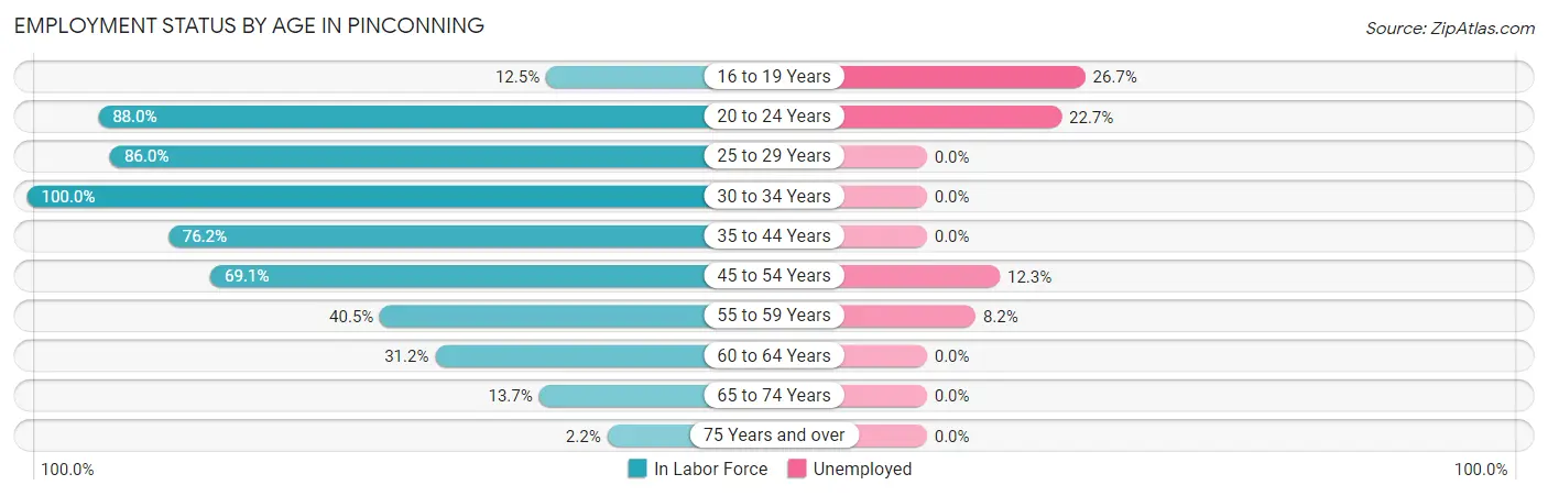 Employment Status by Age in Pinconning