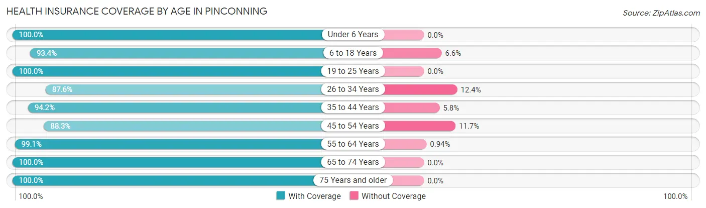 Health Insurance Coverage by Age in Pinconning