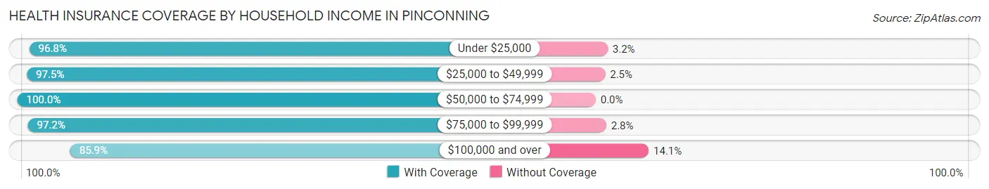 Health Insurance Coverage by Household Income in Pinconning