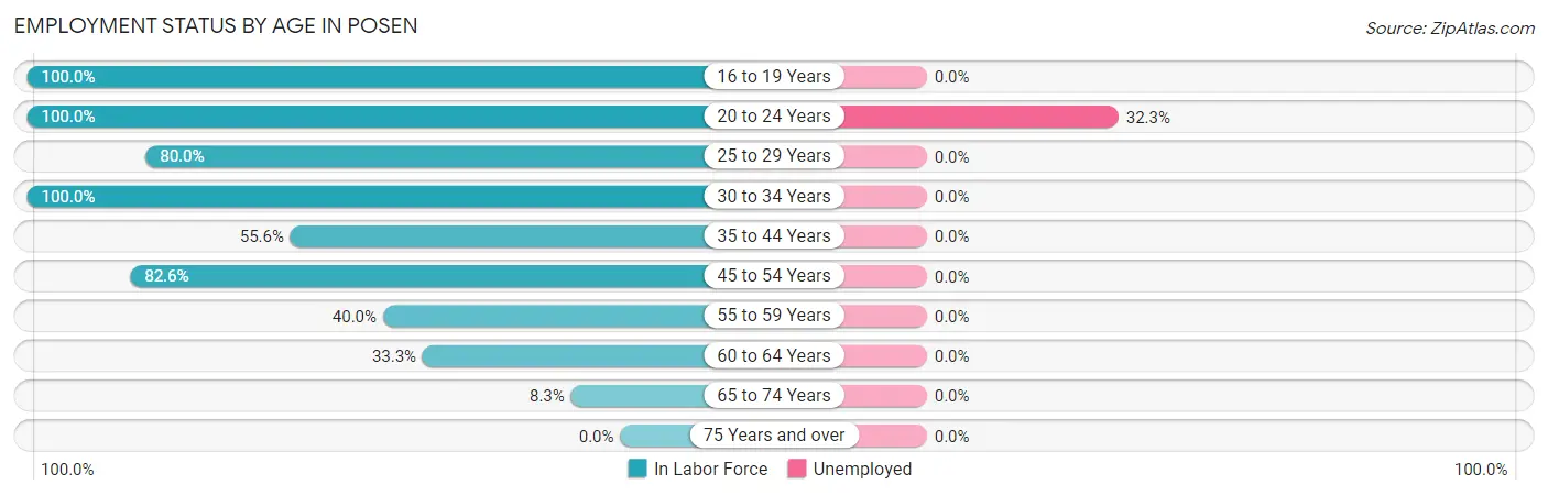 Employment Status by Age in Posen