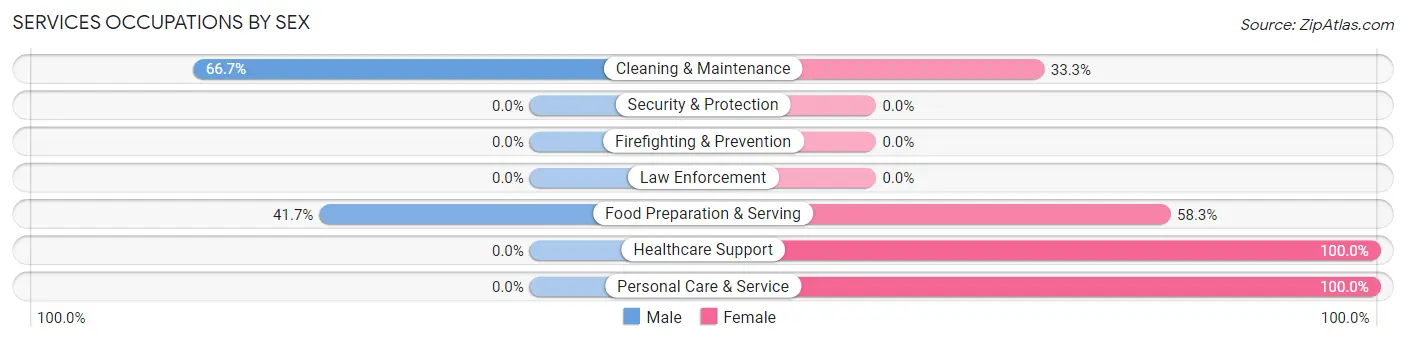 Services Occupations by Sex in Posen