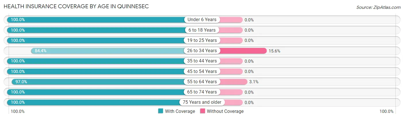 Health Insurance Coverage by Age in Quinnesec