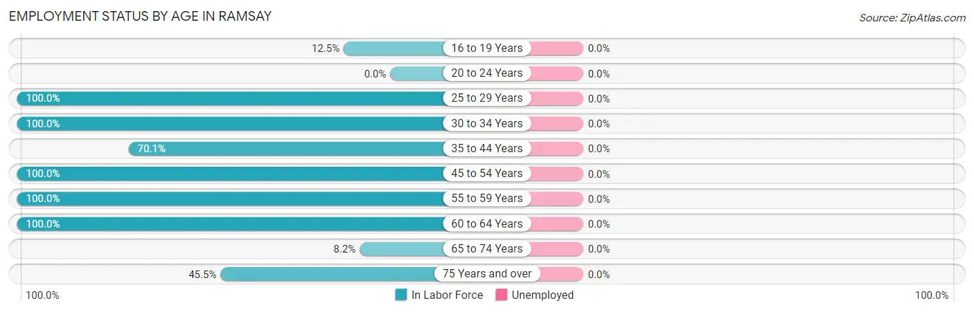 Employment Status by Age in Ramsay