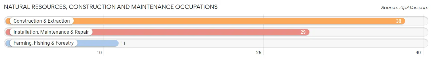 Natural Resources, Construction and Maintenance Occupations in Ravenna