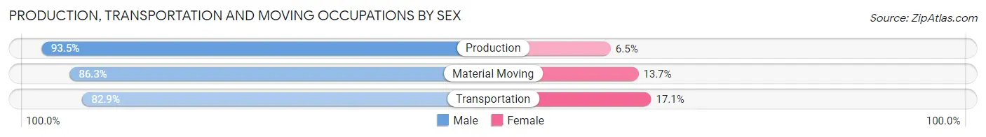 Production, Transportation and Moving Occupations by Sex in Ravenna