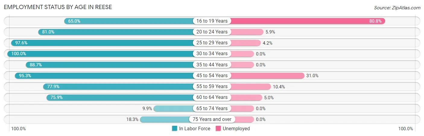 Employment Status by Age in Reese