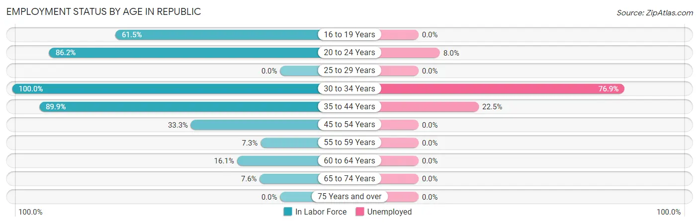 Employment Status by Age in Republic