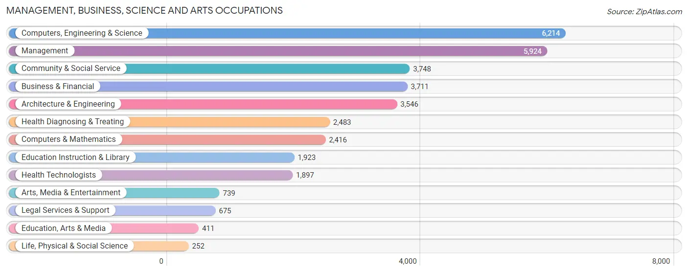 Management, Business, Science and Arts Occupations in Rochester Hills