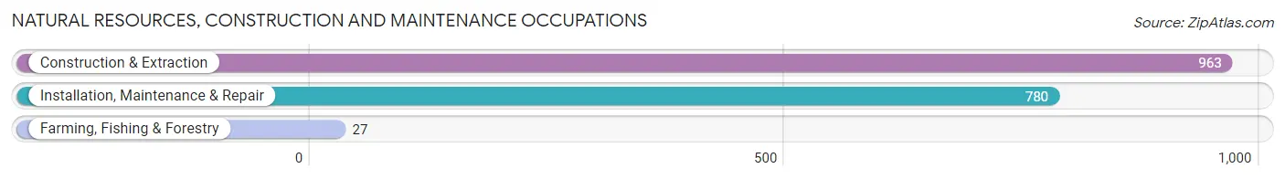 Natural Resources, Construction and Maintenance Occupations in Rochester Hills