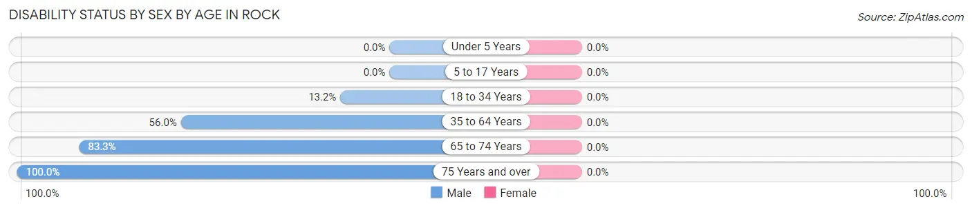 Disability Status by Sex by Age in Rock