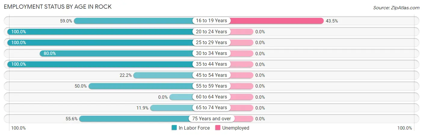 Employment Status by Age in Rock