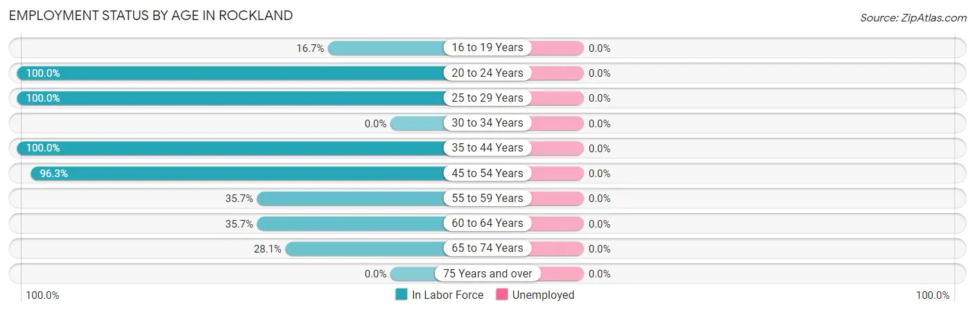 Employment Status by Age in Rockland
