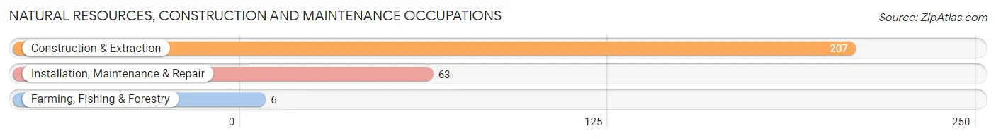 Natural Resources, Construction and Maintenance Occupations in Romeo