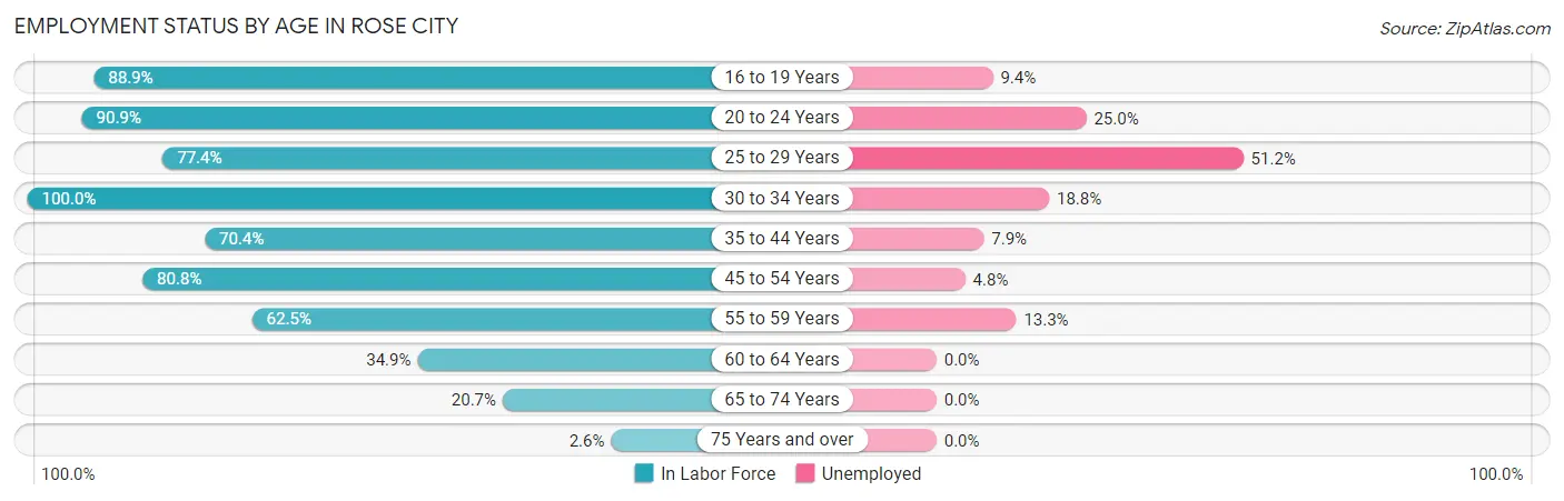 Employment Status by Age in Rose City