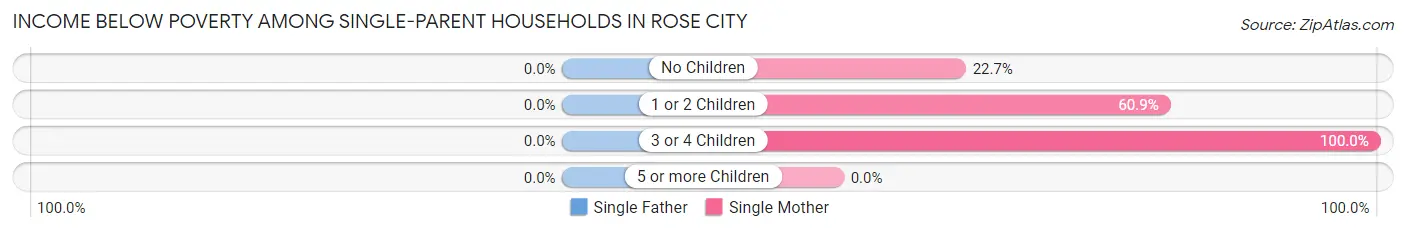 Income Below Poverty Among Single-Parent Households in Rose City