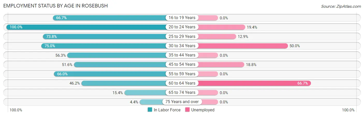 Employment Status by Age in Rosebush