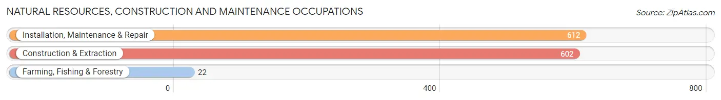 Natural Resources, Construction and Maintenance Occupations in Royal Oak