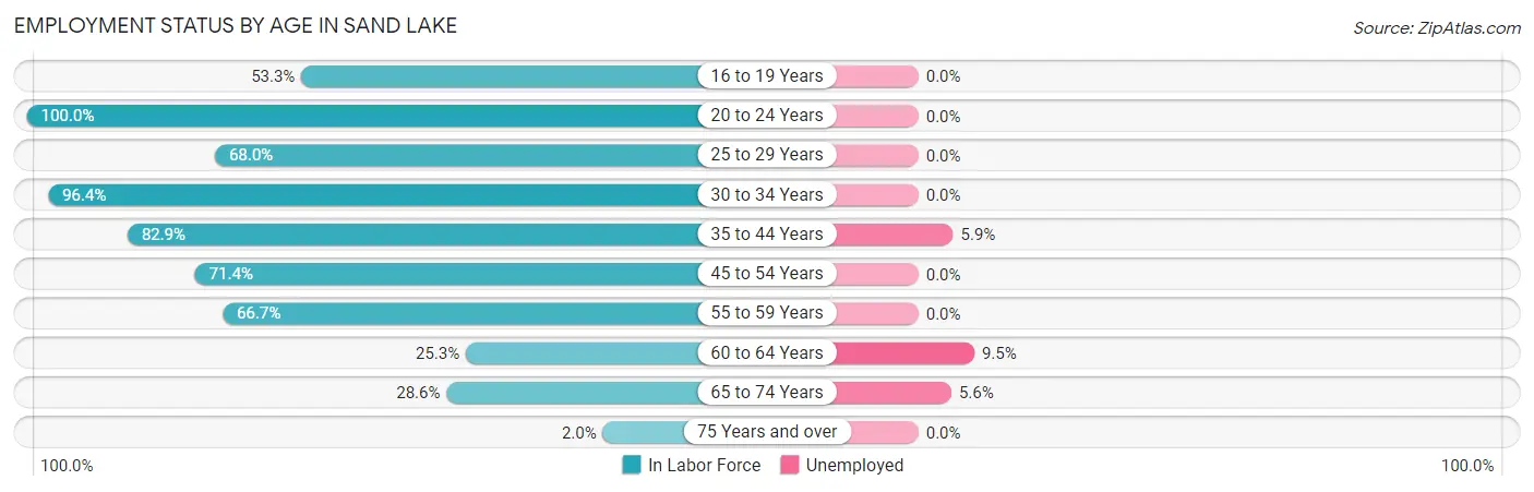 Employment Status by Age in Sand Lake
