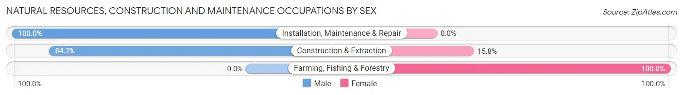 Natural Resources, Construction and Maintenance Occupations by Sex in Saranac