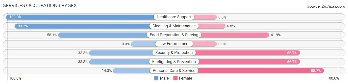Services Occupations by Sex in Schoolcraft