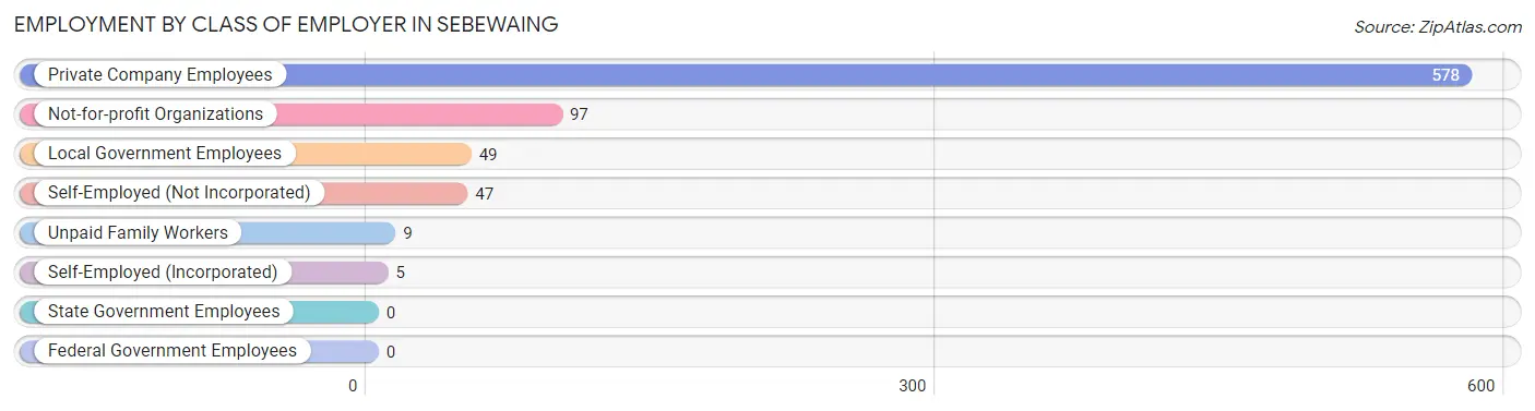 Employment by Class of Employer in Sebewaing