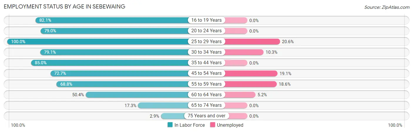Employment Status by Age in Sebewaing