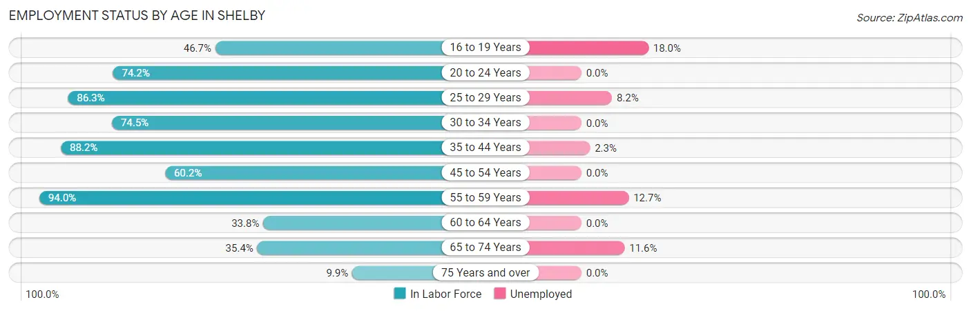 Employment Status by Age in Shelby