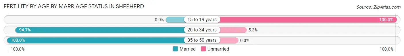 Female Fertility by Age by Marriage Status in Shepherd