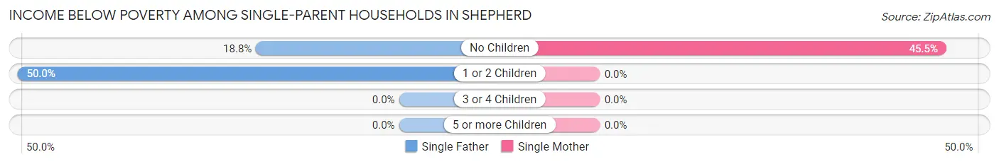 Income Below Poverty Among Single-Parent Households in Shepherd