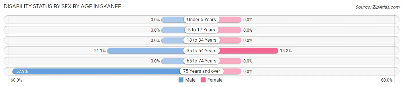 Disability Status by Sex by Age in Skanee