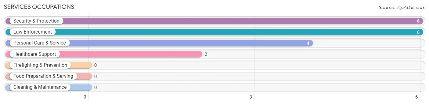 Services Occupations in Snover