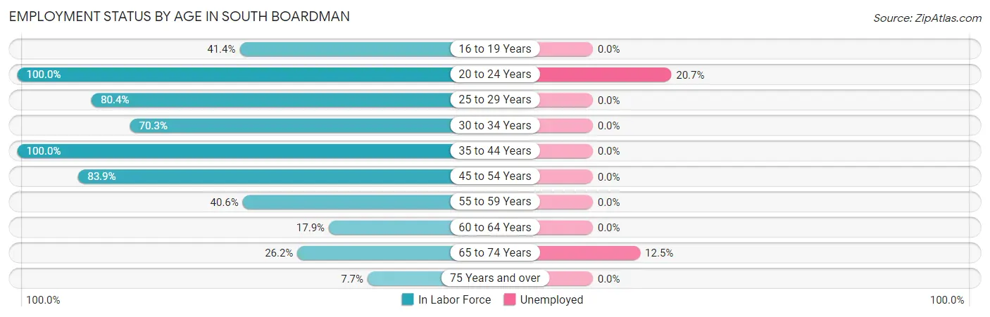 Employment Status by Age in South Boardman