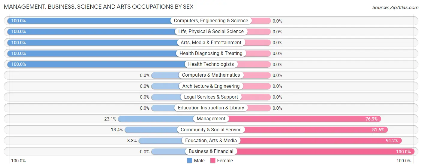 Management, Business, Science and Arts Occupations by Sex in South Boardman