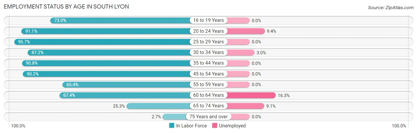 Employment Status by Age in South Lyon