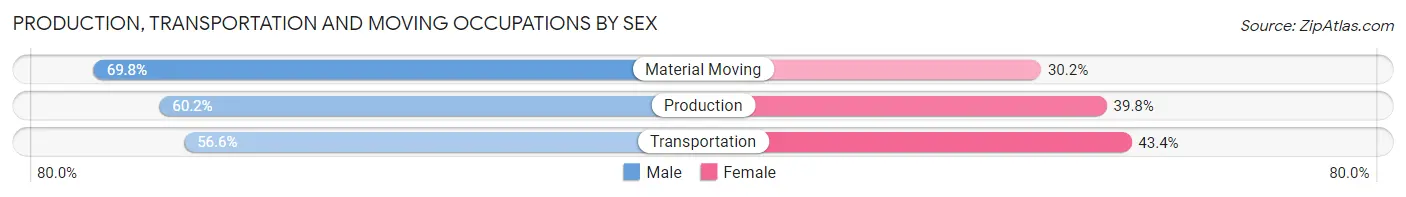 Production, Transportation and Moving Occupations by Sex in South Monroe