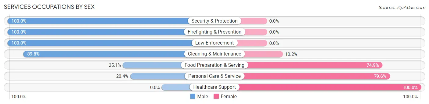 Services Occupations by Sex in South Monroe