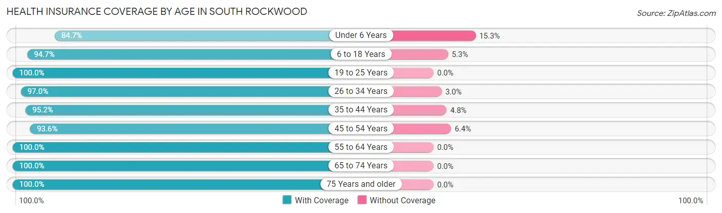 Health Insurance Coverage by Age in South Rockwood