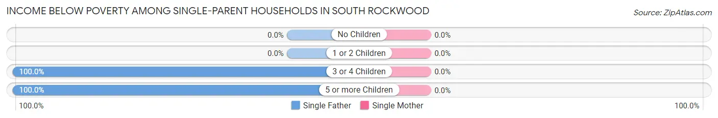 Income Below Poverty Among Single-Parent Households in South Rockwood
