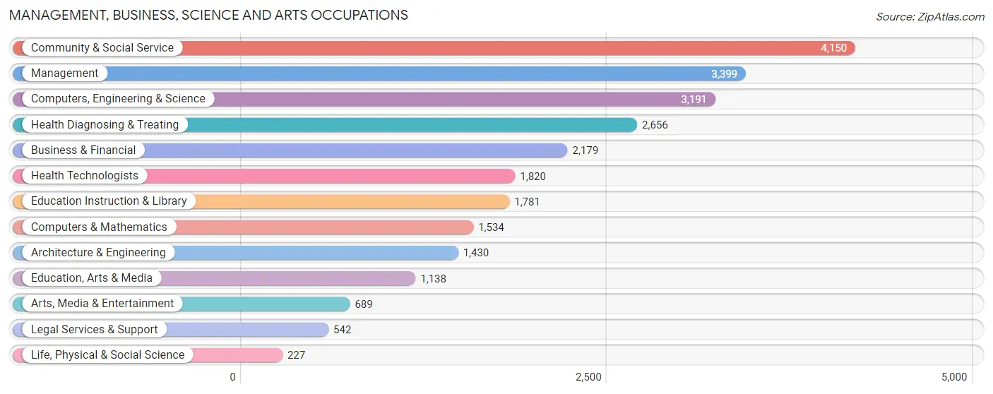 Management, Business, Science and Arts Occupations in Southfield