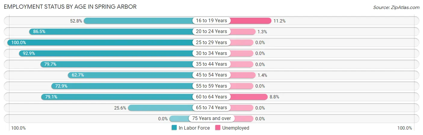 Employment Status by Age in Spring Arbor
