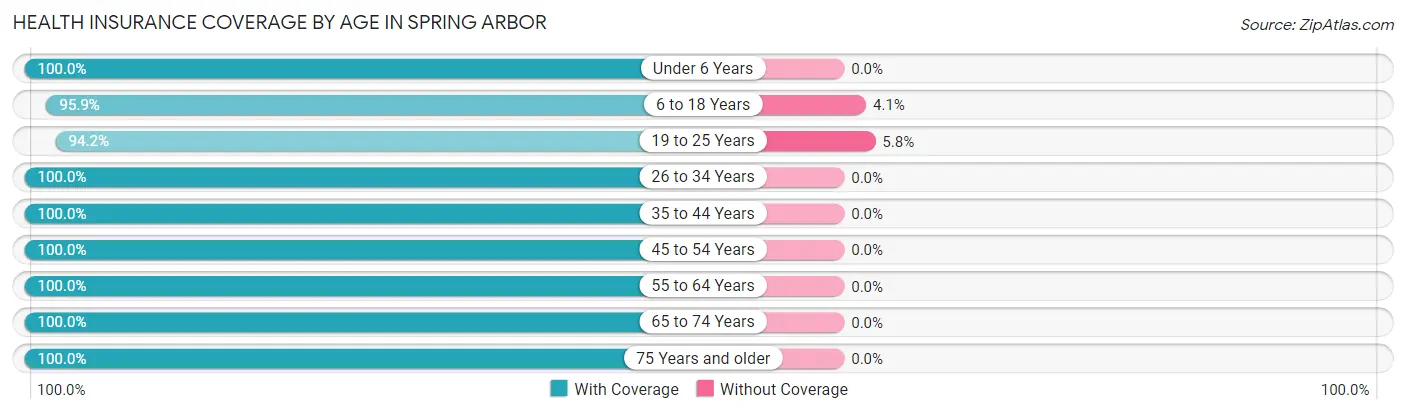 Health Insurance Coverage by Age in Spring Arbor