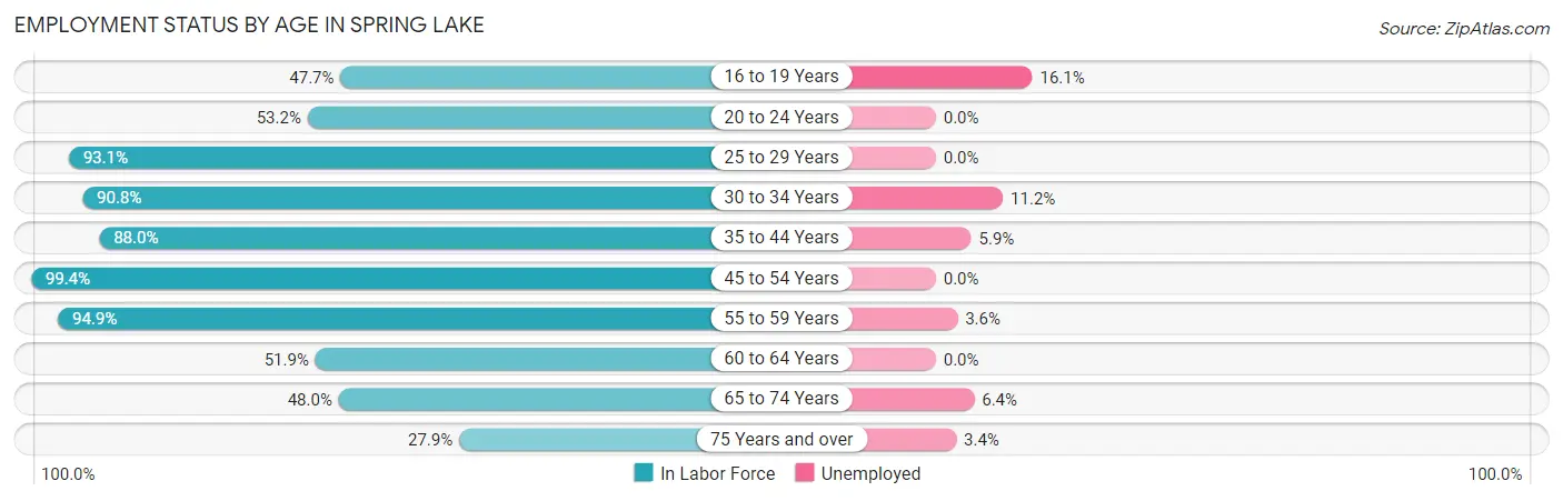 Employment Status by Age in Spring Lake