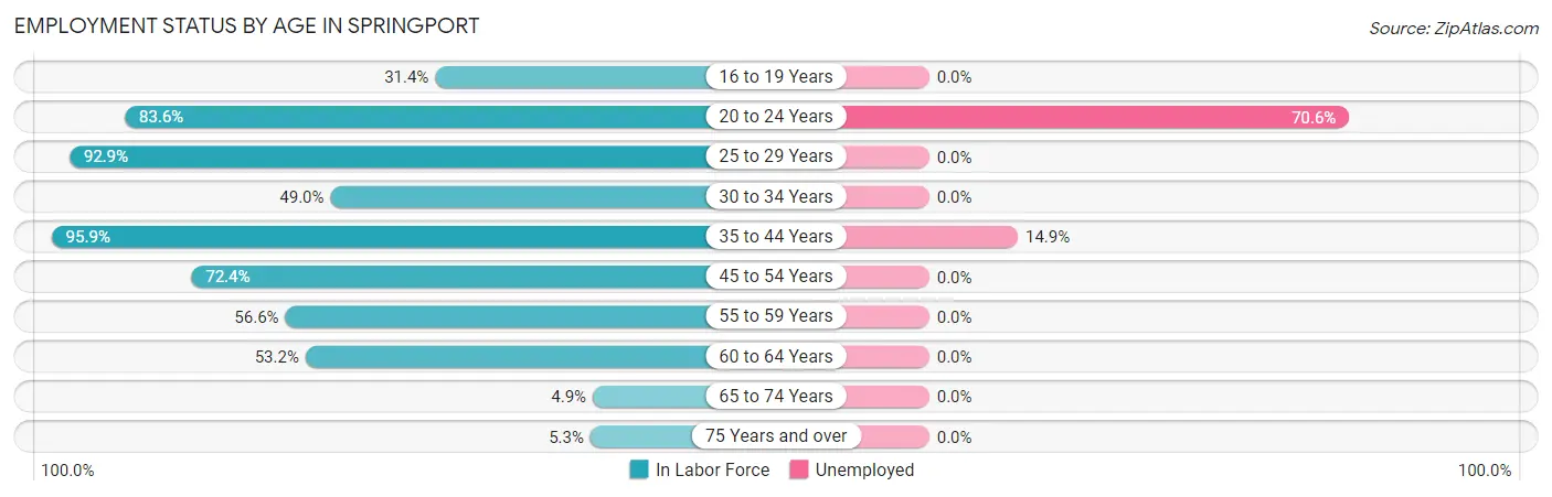 Employment Status by Age in Springport