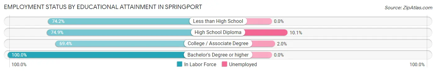 Employment Status by Educational Attainment in Springport