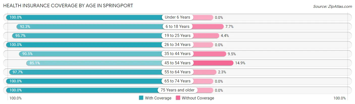 Health Insurance Coverage by Age in Springport
