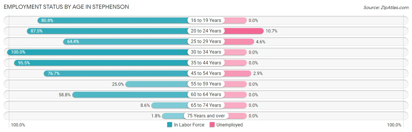 Employment Status by Age in Stephenson