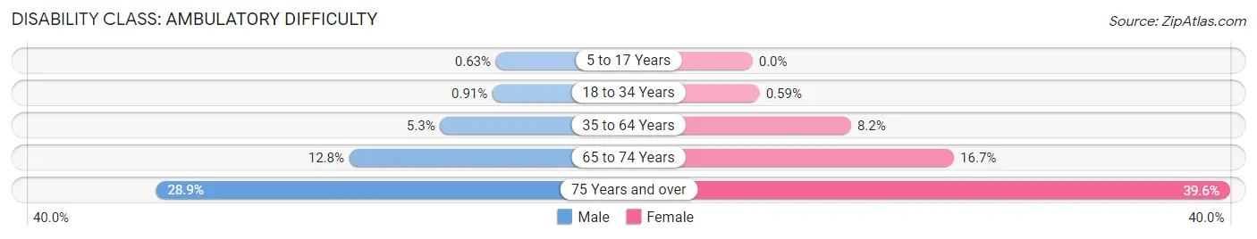 Disability in Sterling Heights: <span>Ambulatory Difficulty</span>